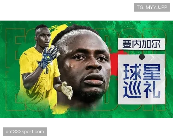 塞内加尔世界杯球迷最关心的问题